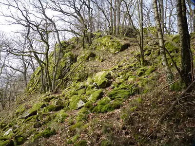 Albaumer Klippen