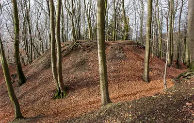 Alt-Sternberg