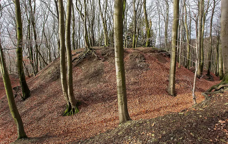 Alt-Sternberg