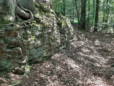 Alte Burg