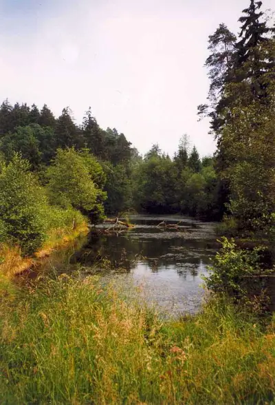 Alte Eisenbahn