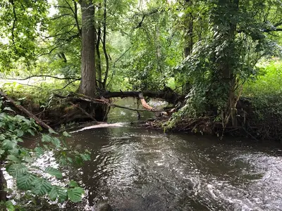 Bachlauf und Naturschutzgebiet Begatal