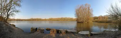 Brunosee