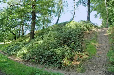 Bummannsburg