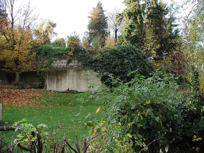 Burg Fischenich (Ruine)