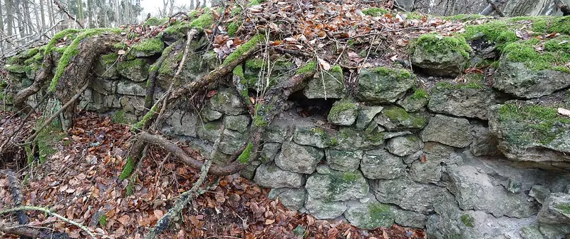 Burg Neuweiler