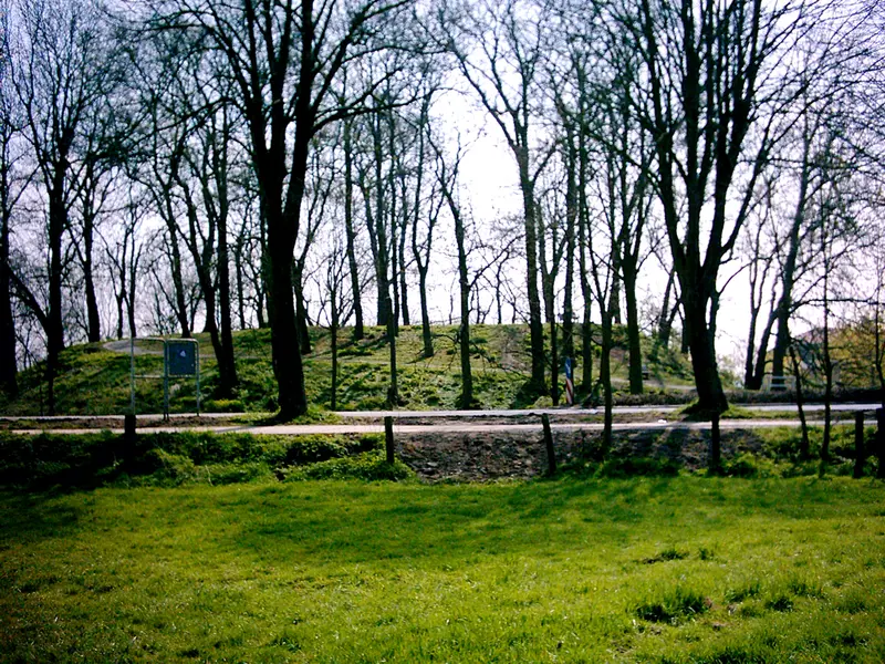 Burg von Alpen