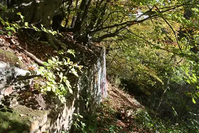 Burgruine Ardey