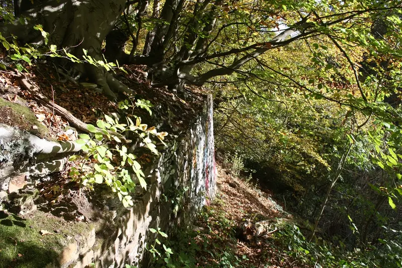 Burgruine Ardey