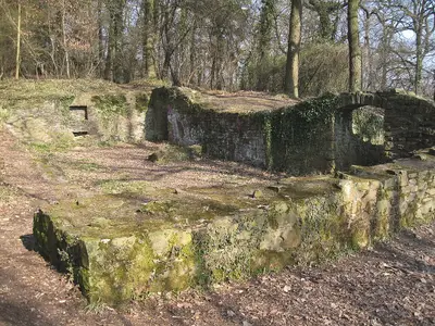 Burgruine Rodenberg