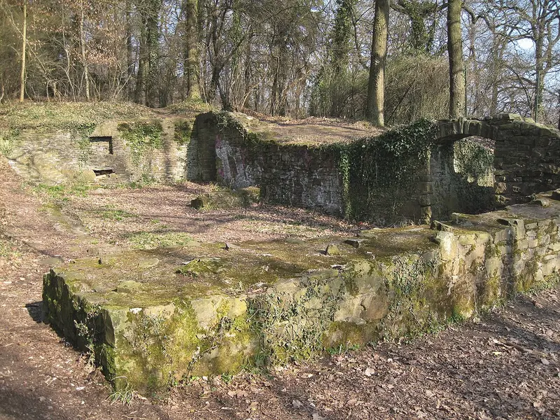 Burgruine Rodenberg