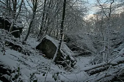 FHQ Felsennest