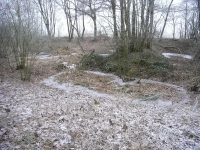 Flachsrösten