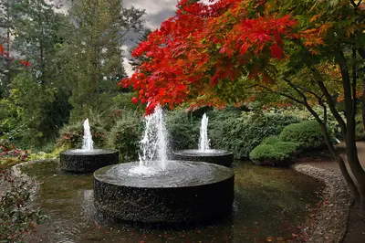 Forstbotanischer Garten