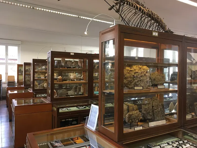 Goldfuß-Museum