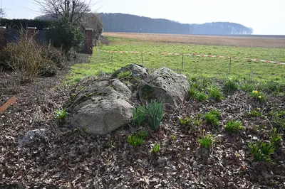 Großsteingrab Westerkappeln