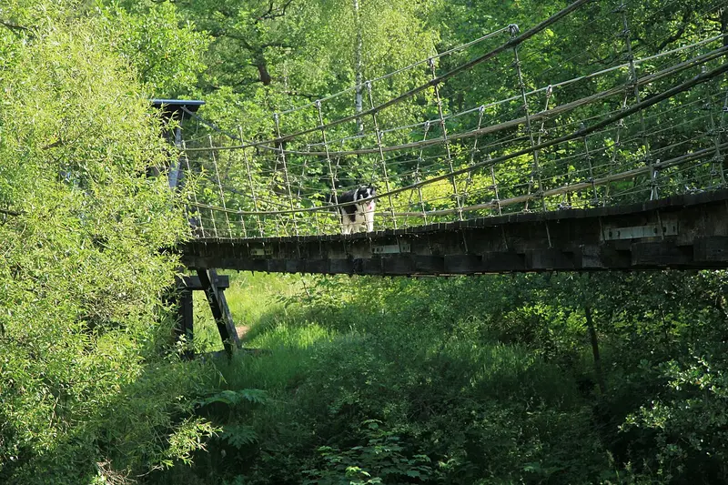 Hängebrücke in Kastor