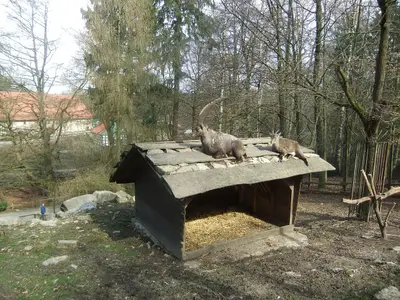 Heimat-Tierpark Olderdissen
