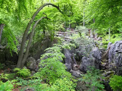 Hemer Felsenmeer