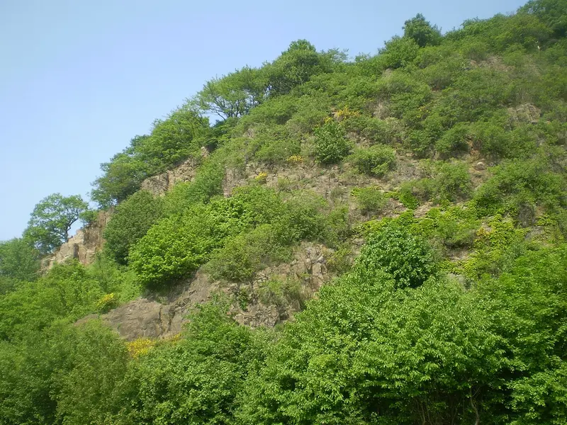 Himmerich (366m)