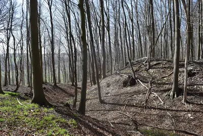 Hünenburg auf dem Hahnenberg