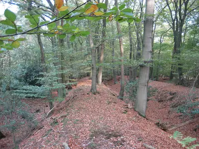 Klever Landwehr