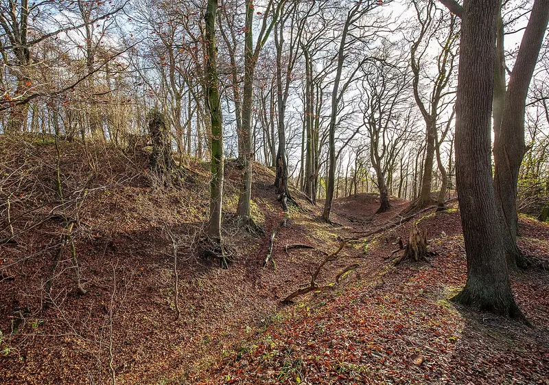 Landesburg Reineberg