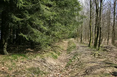 Landwehr Kölsches Heck