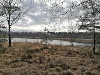 Lüntener Fischteiche
