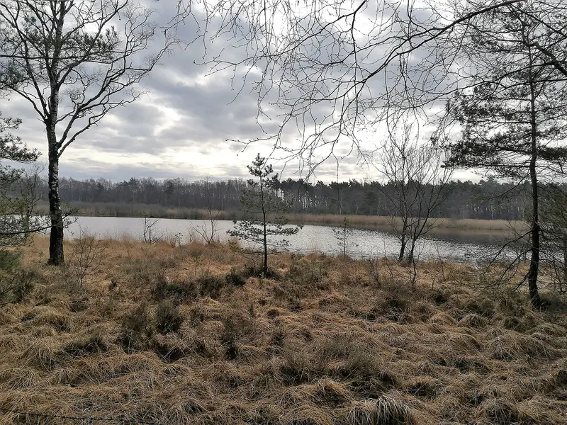 Lüntener Fischteiche