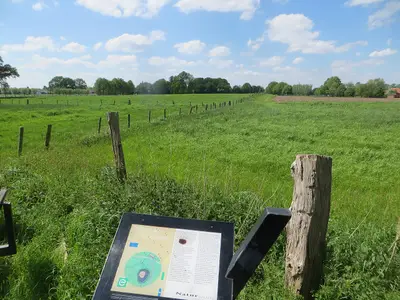 Motte Alt-Krickenbeck