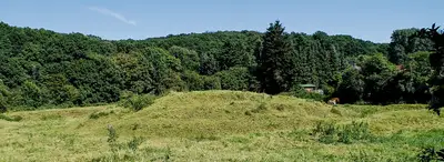 Motte