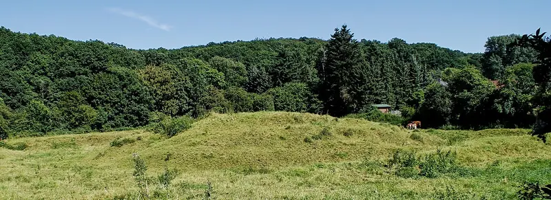 Motte