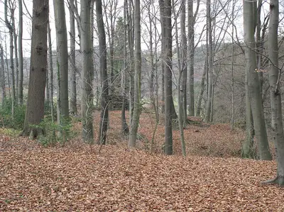 Motte Zoppesmur