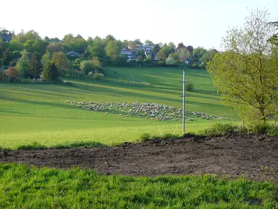 Naherholungsgebiet Scharpenacken