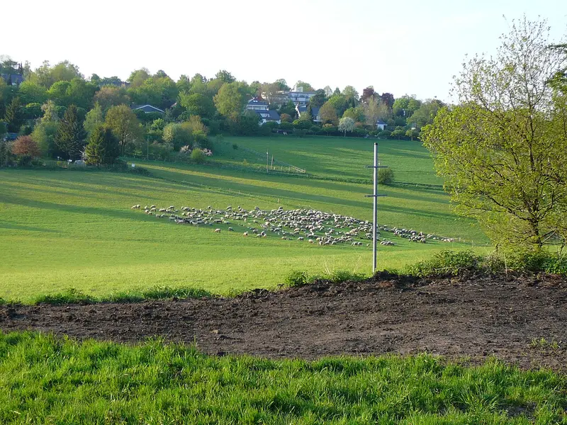 Naherholungsgebiet Scharpenacken