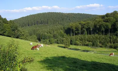Naturpark Sauerland-Rothaargebirge