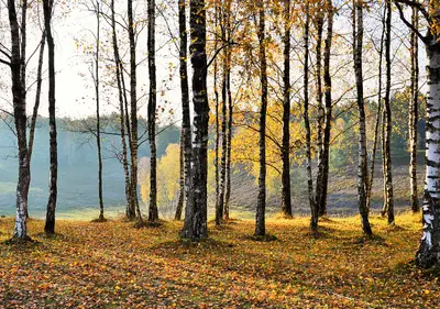 Naturpark Schwalm-Nette