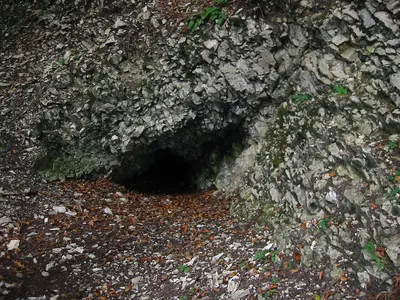 Pfaffenkammer
