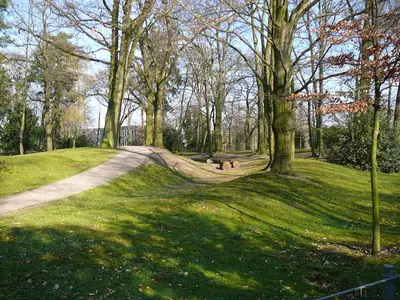 Ringwallanlage Holterhöfchen