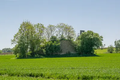 Ruine Asselerburg