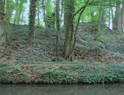 Ruine Unterheiligenhoven