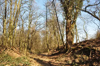 Schießplatz Dünnwald