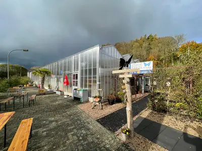 Schmetterlingsgarten "Eifalia"