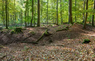 Siekholzer Schanze