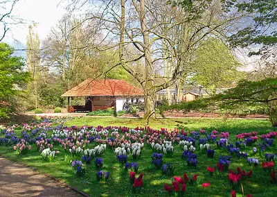 Stadtpark