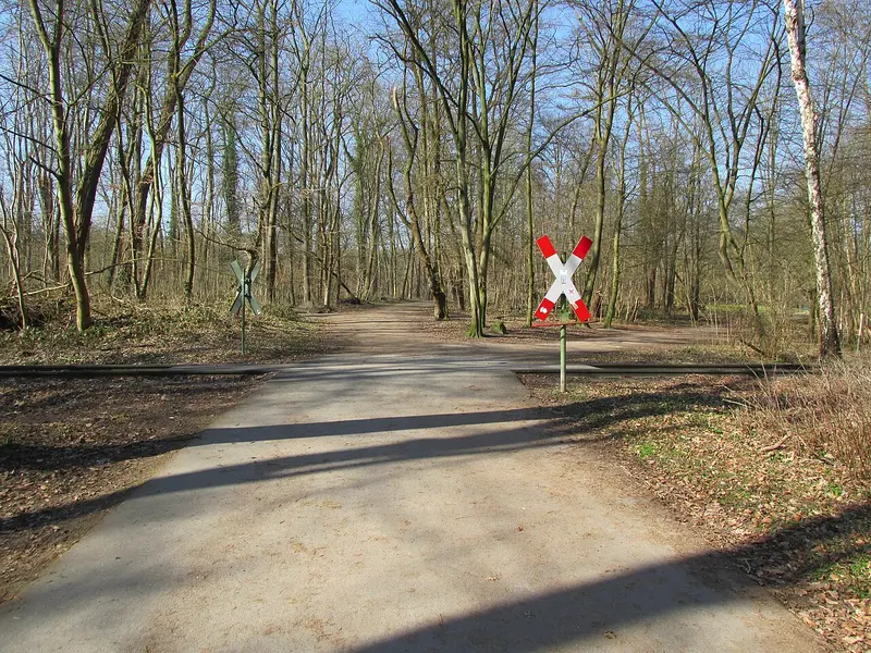 Stadtwald