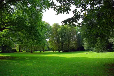 Südpark