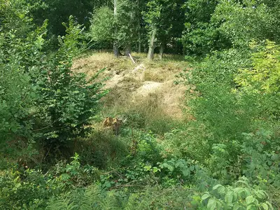 Turmhügel Hünenbräuken