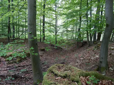 Vienenburg
